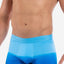 Papi Alaskan-Blue Polynesian-Sunset Brazilian Trunk