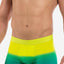 Papi Lime-Punch Polynesian-Sunset Brazilian Trunk
