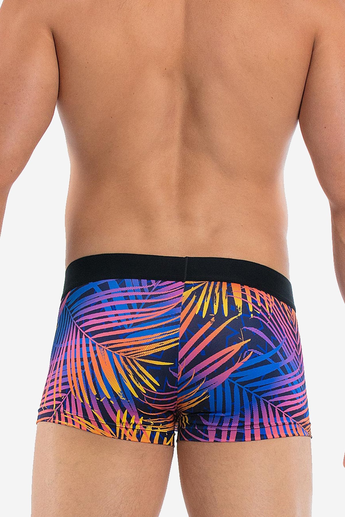 Papi Palms Tropical-Paradise Brazilian Trunk