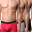 Papi Pink/Grey/Black Brazilian Trunk 3-Pack