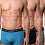 Papi Turquoise/Black/White Solid/Striped Brazilian Trunk 3-Pack