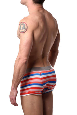 Parke & Ronen Flamingo Drexel-Stripe Printed Low-Rise Trunk thumbnail 2