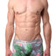 Parke & Ronen Grey Bali-Printed Low-Rise Trunk
