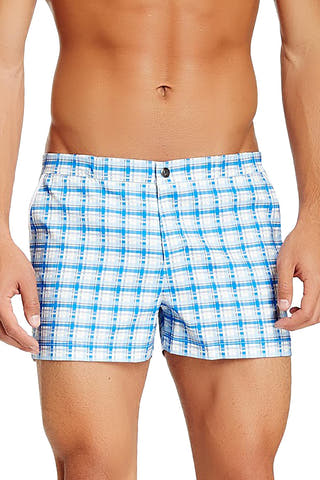 Parke and Ronen Blue/White Plaid 2" Angeleno Swim Trunk