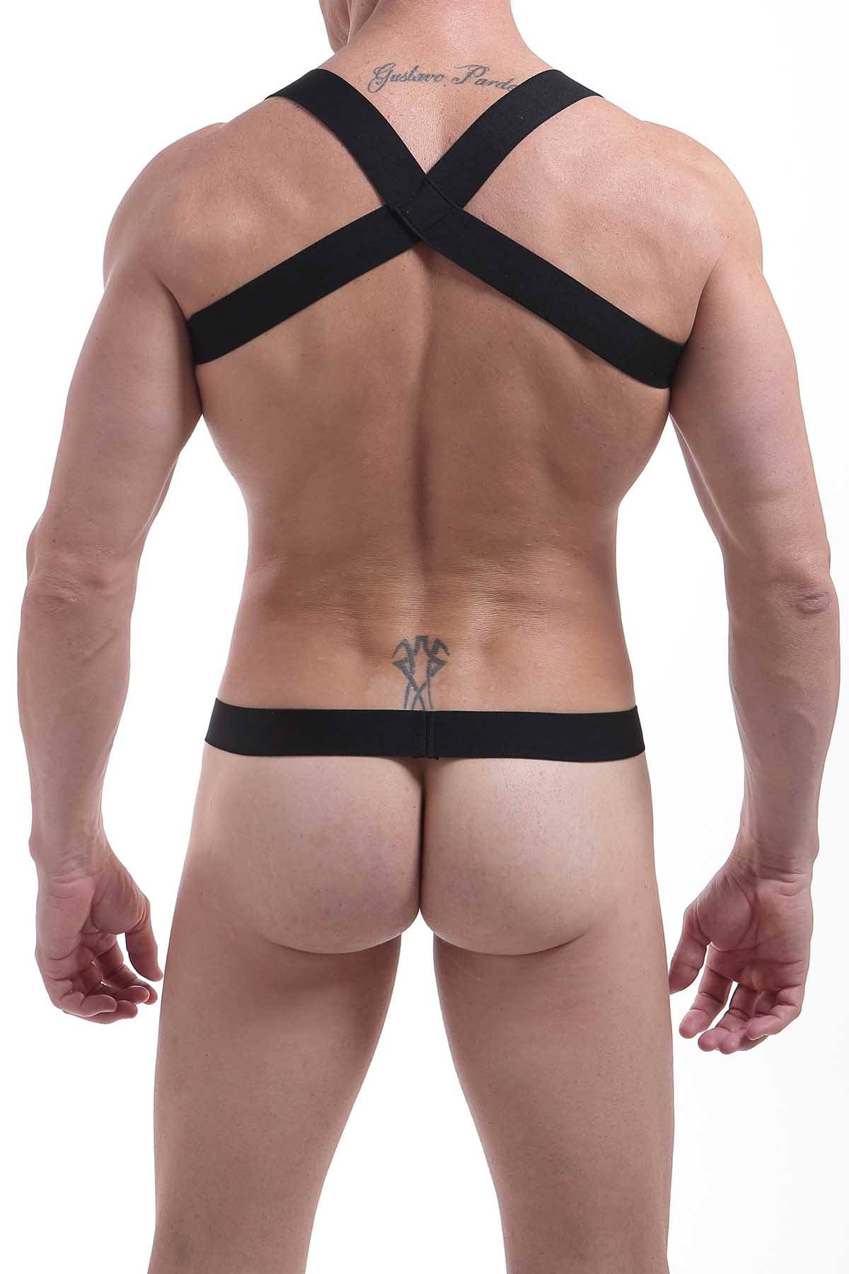 PetitQ Black Harness with C-Ring