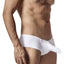 Pikante White Castro Boxer