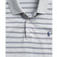 Polo Ralph Lauren Classic Fit Stripe Polo Shirt Andover Heather Multi