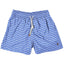 Retromarine Groovy Lines Swim Short in Royal