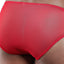 Secret Male Red Lace/Mesh Cutout Bikini Brief