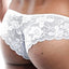 Secret Male White/Jade Colorblock Lace Cheeky Brief