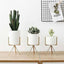 Set of 3 Succulent Planters With Stands