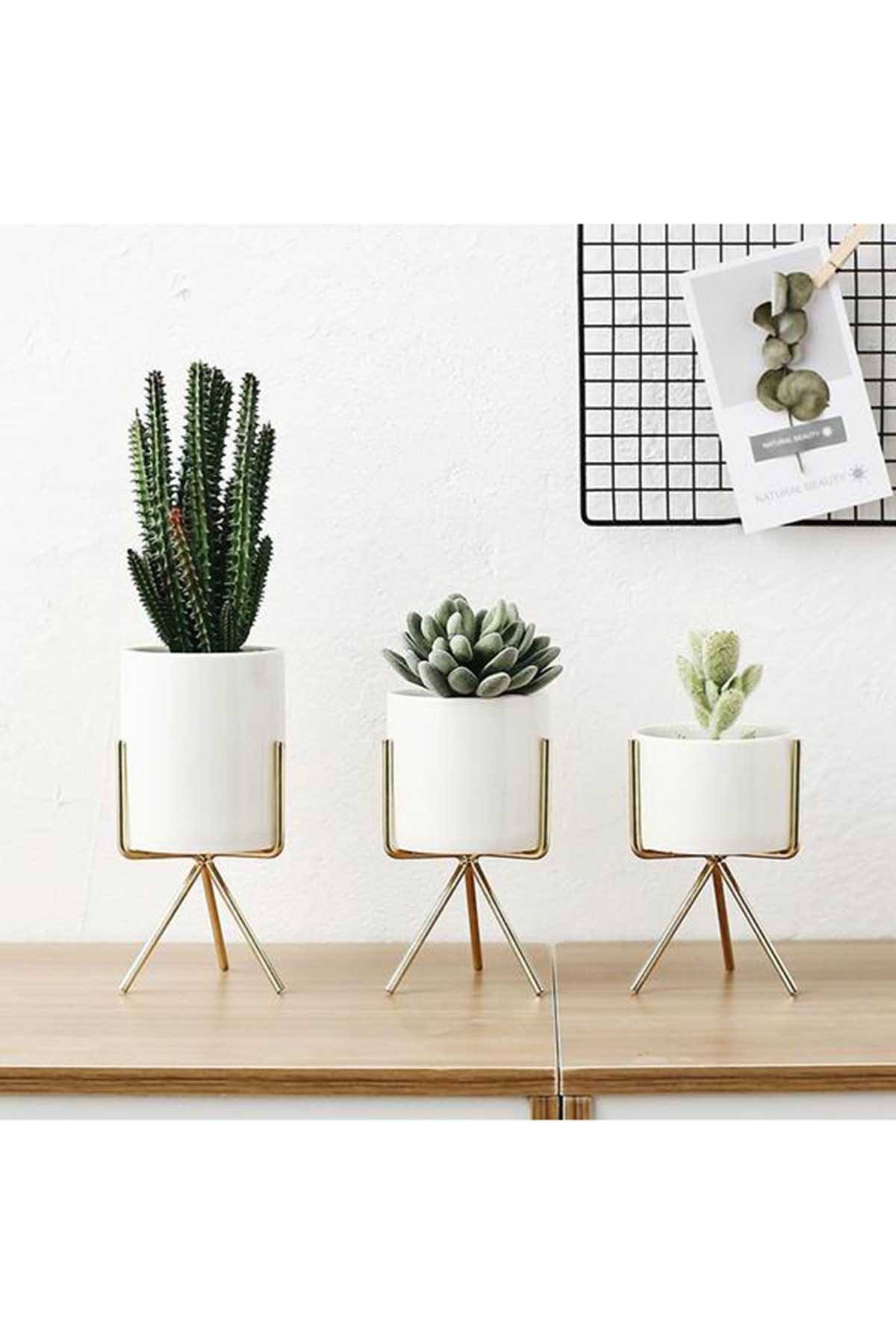 Set of 3 Succulent Planters With Stands
