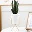 Set of 3 Succulent Planters With Stands