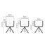Set of 3 Succulent Planters With Stands