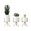 Set of 3 Succulent Planters With Stands