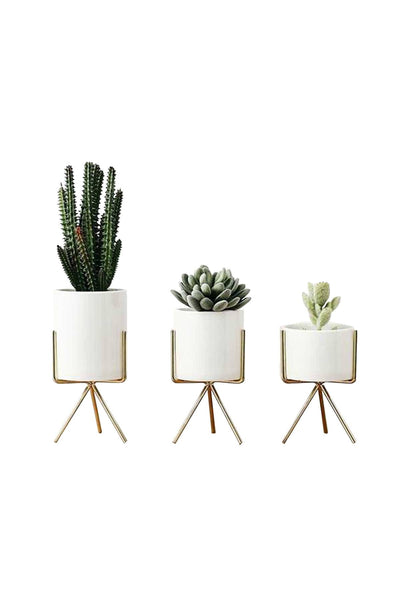 Set of 3 Succulent Planters With Stands