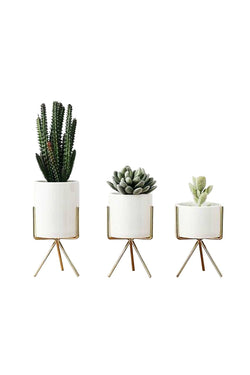 Set of 3 Succulent Planters With Stands thumbnail 1