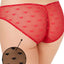 Skarlett Blue Black Cheri Sheer Heart Lace Girlshort