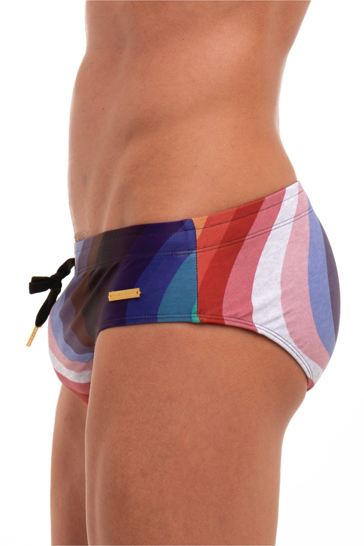 Skull and Bones Rainbow Heather Swim Brief