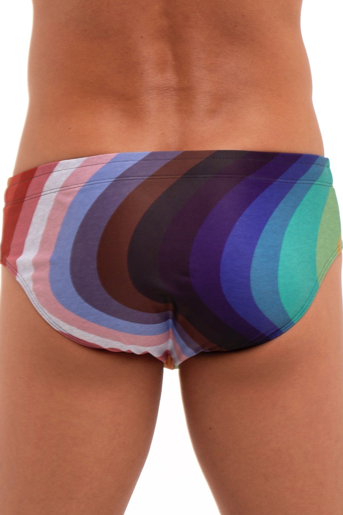 Skull and Bones Rainbow Heather Swim Brief