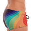 Skull and Bones Rainbow Heather Swim Trunk