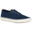 Sperry Striper Ii Cvo Corduroy Sneakers Navy