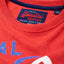 SuperDry Cali-Red Heather Vintage Authentic Tri Tee