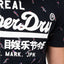 SuperDry Eclipse-Navy Bird-Print Vintage Logo Tee