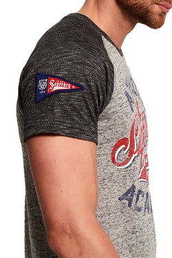 SuperDry Harbour-Grey Grindle Academy Raglan Tee thumbnail 4