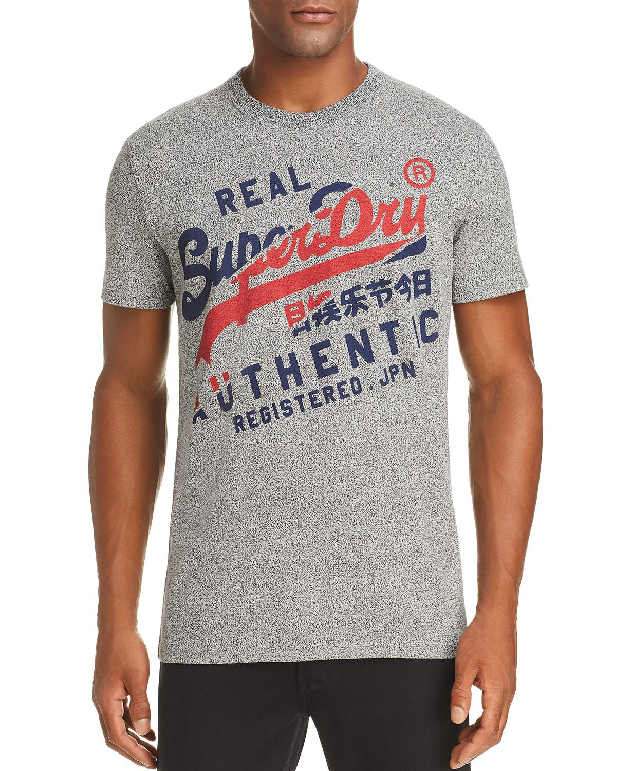 Superdry Vintage Authentic Graphic Tee Phoenix Gray Grit