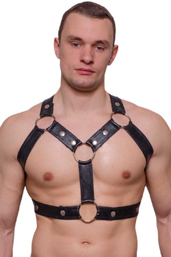 Tartarus Black Gladiator Harness thumbnail 1