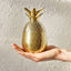 The Pineapple Co. Gold 12oz Pineapple Tumbler