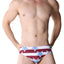 Timoteo Blue Star Lakeshore Low Rise Swim Brief