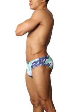 Timoteo Laguna Lakeshore Low-Rise Swim Brief thumbnail 4