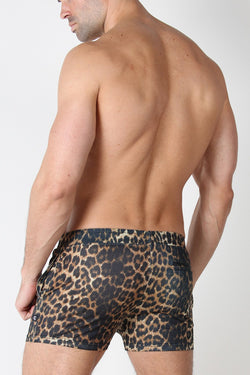 Timoteo Leopard Calypso Mesh Short thumbnail 3
