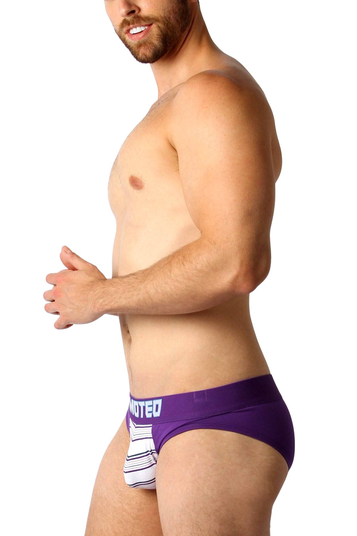 Timoteo Purple Catalina Brief