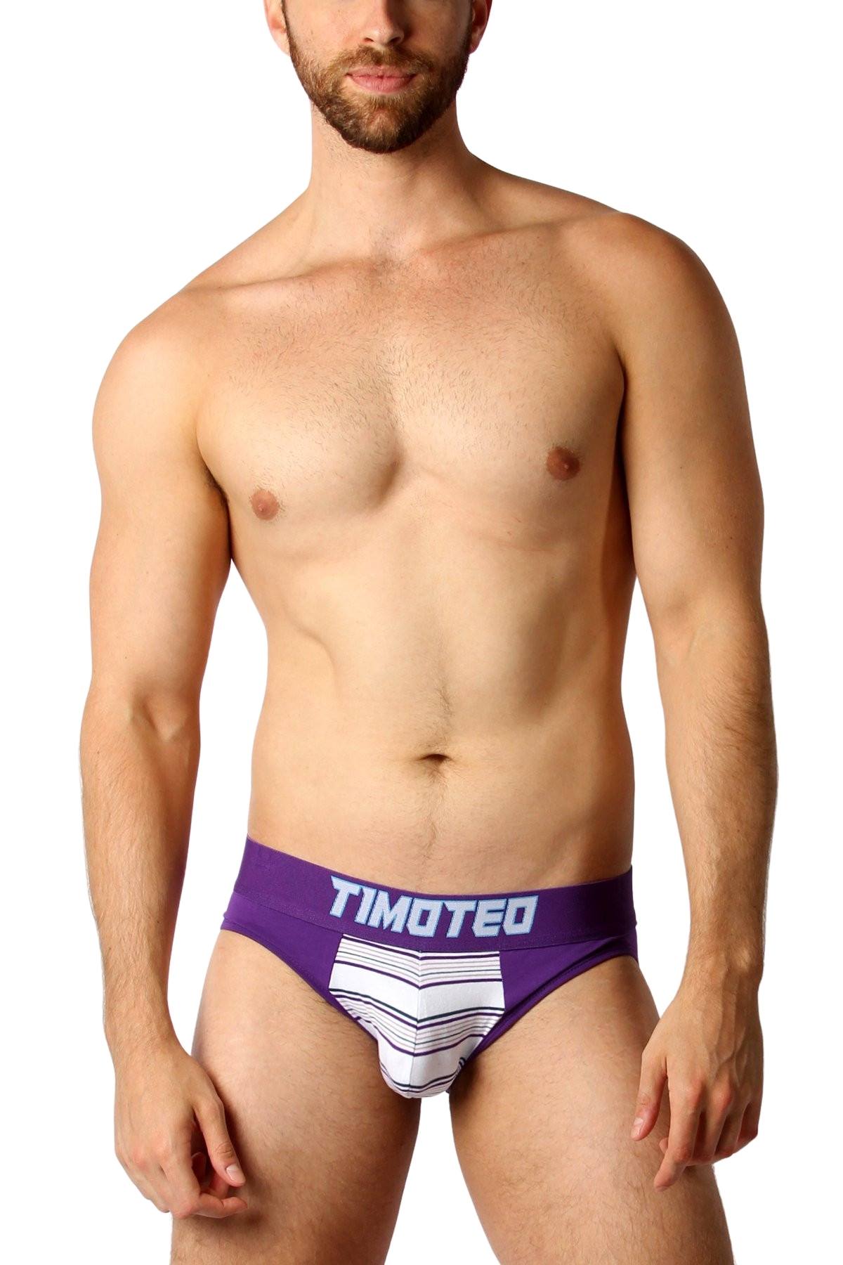 Timoteo Purple Catalina Brief