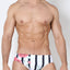 Timoteo floral Stripe Lakeshore Low Rise Swim Brief