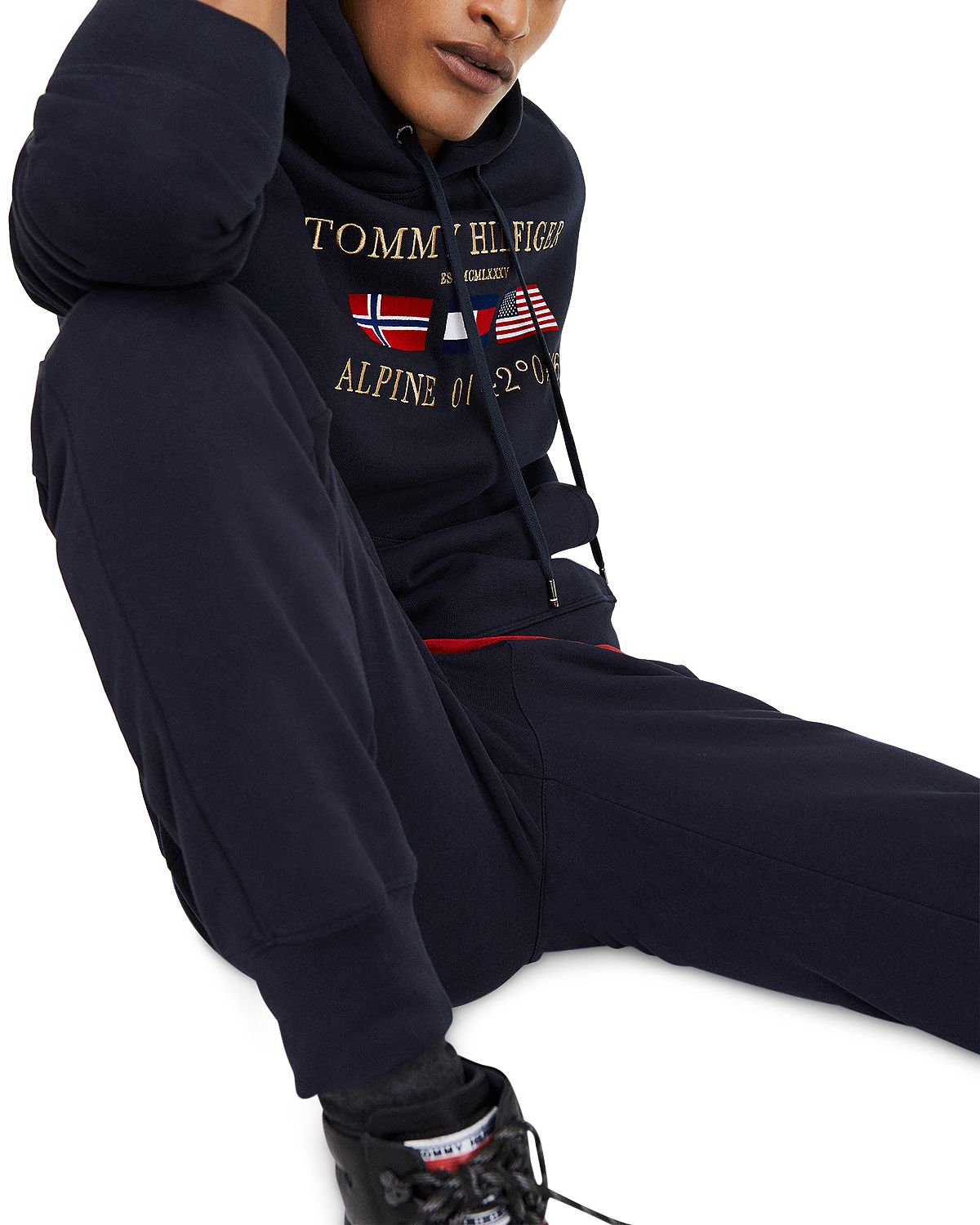 Tommy Hilfiger Multi-flag Graphic Logo Hooded Sweatshirt Desert Sky
