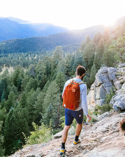 Topo Designs Daypack Backpack Clay thumbnail 3