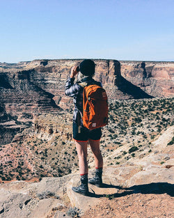 Topo Designs Daypack Backpack Clay thumbnail 4