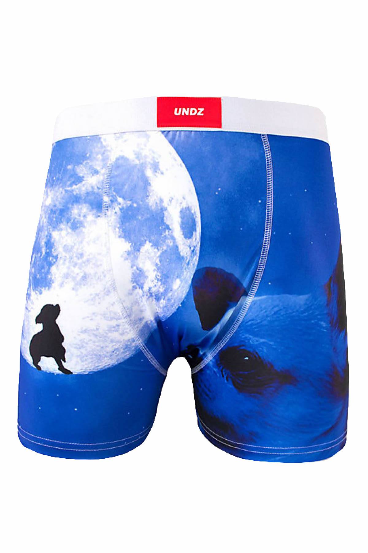 UNDZ Blue Wolf Boxer Brief