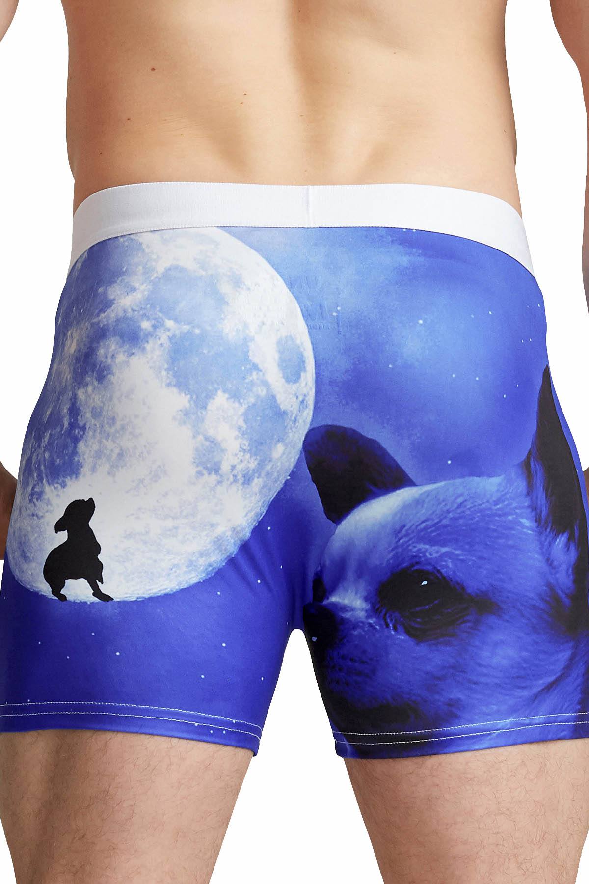 UNDZ Blue Wolf Boxer Brief