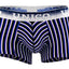 Unico Blue/Multi-Color Striped Lucid Trunk