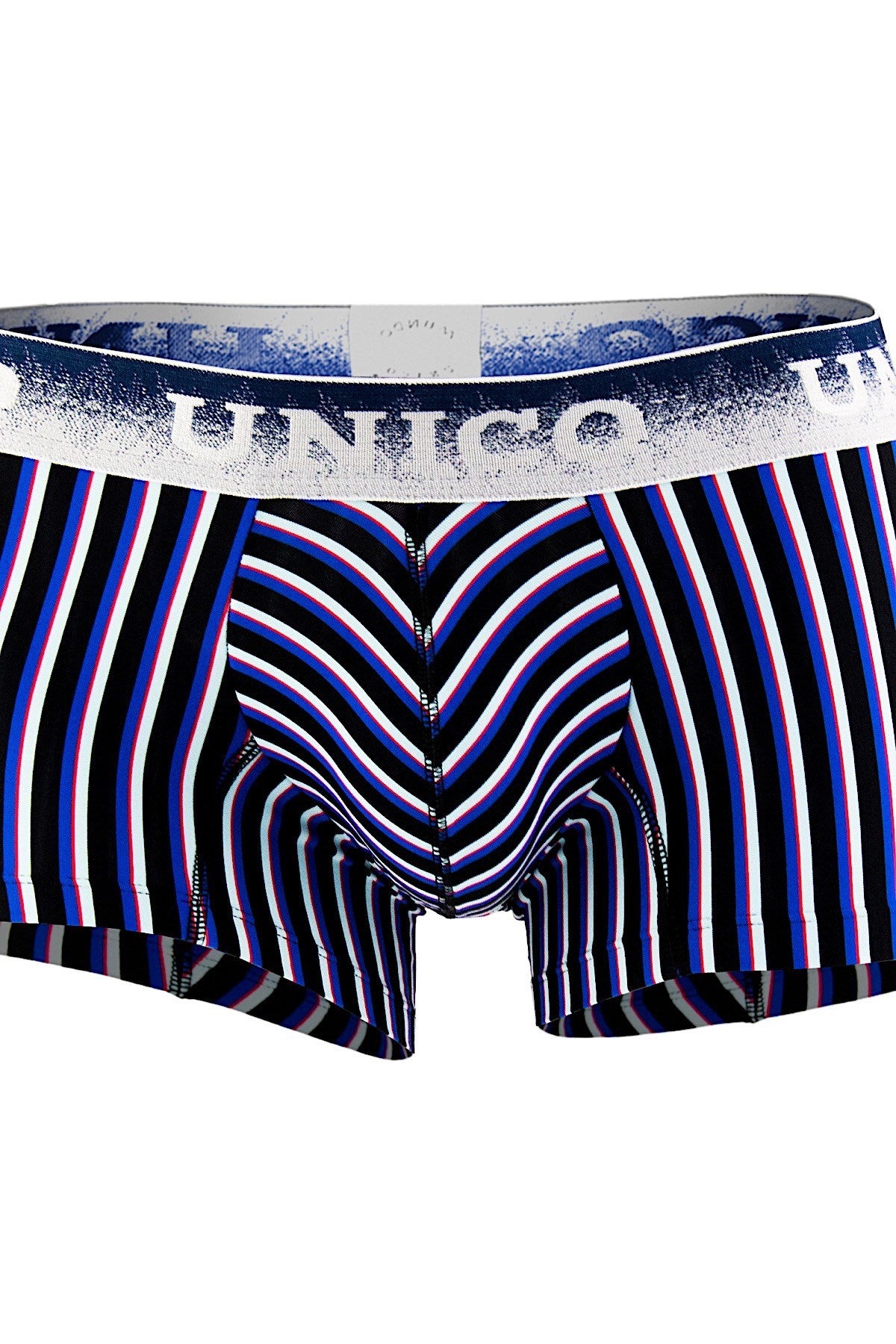 Unico Blue/Multi-Color Striped Lucid Trunk