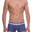 Unico Blue/Multi-Color Striped Lucid Trunk