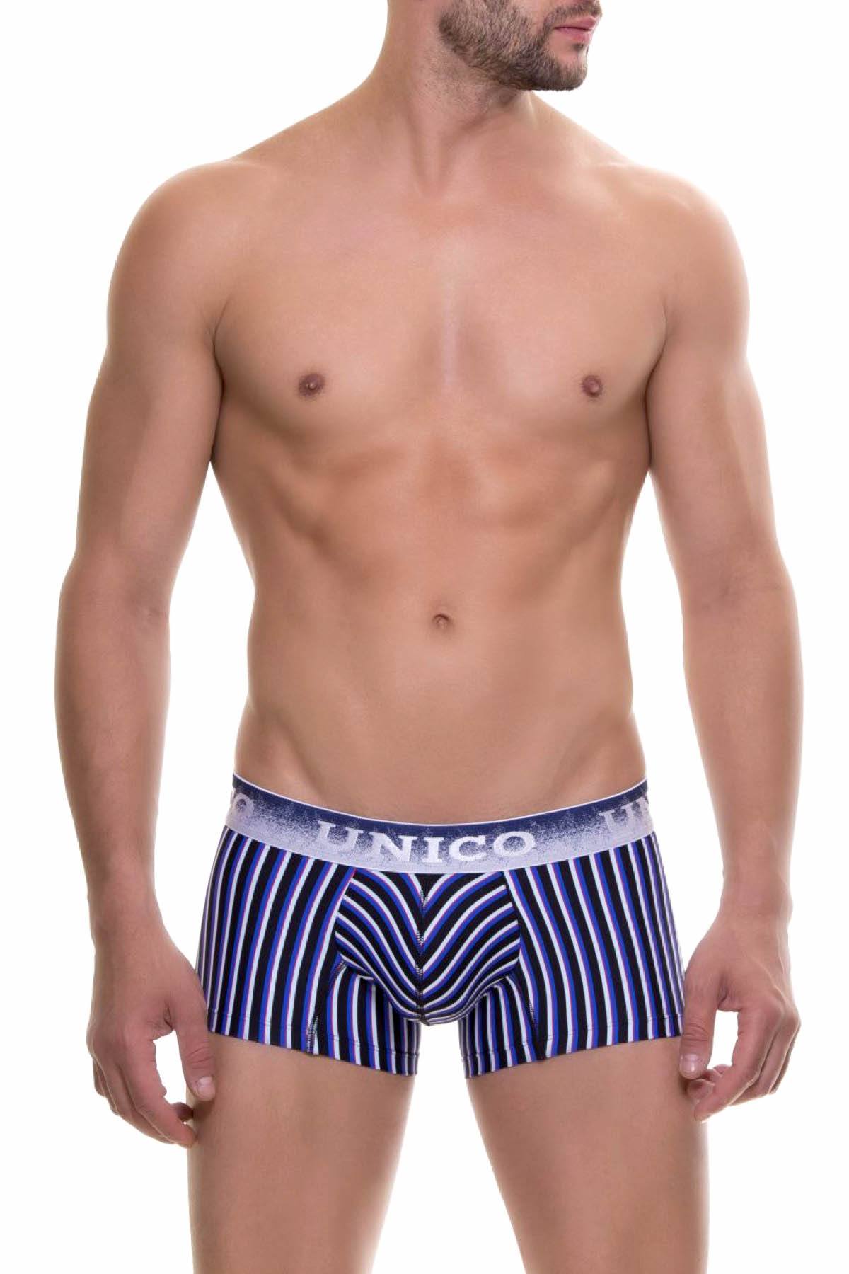 Unico Blue/Multi-Color Striped Lucid Trunk