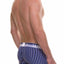 Unico Blue/Multi-Color Striped Lucid Trunk
