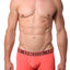 Unico Bright-Coral Agama Trunk