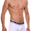 Unico White/Navy/Silver Incandescent Trunk